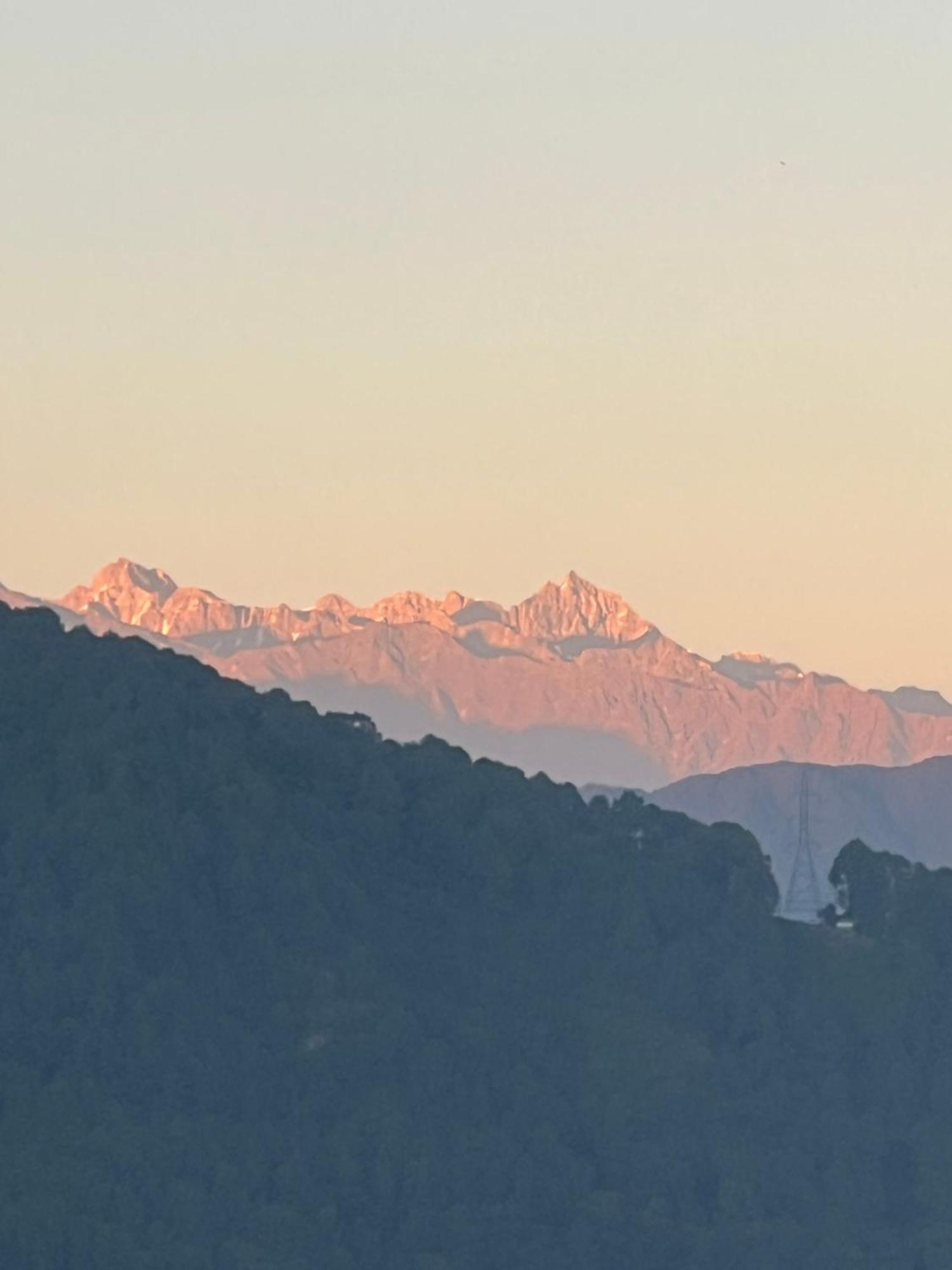 The Sparkling Turtle Backpackers Hostel Kathmandu Luaran gambar